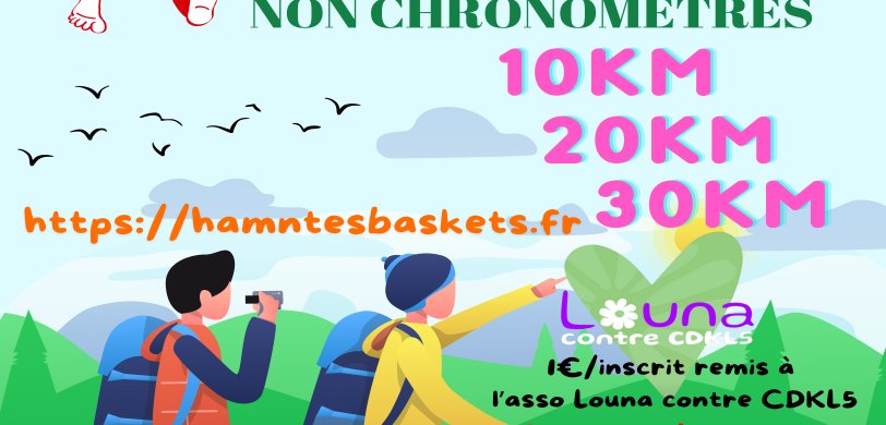 Ham'N tes baskets
