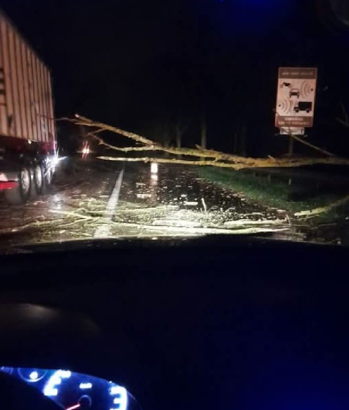 Un arbre bloquant la D939 entre Tincques et Aubigny-en--Artois.