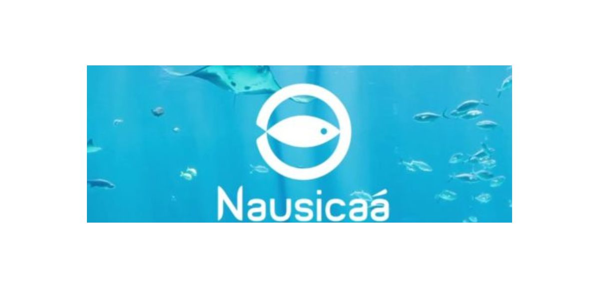 Voici le gagnant de 4 entreées pour Nausicaá - Centre National de la Mer 
