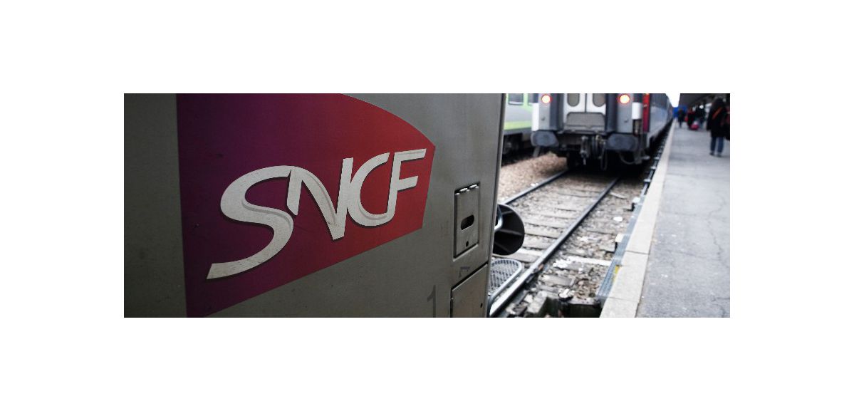 Coronavirus, la SNCF demande aux contrôleurs de ne plus vérifier les billets de train des usagers
