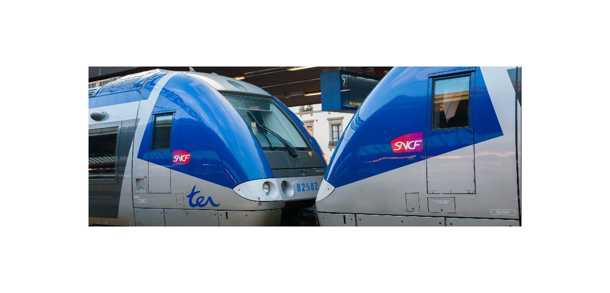 À partir de vendredi, la SNCF va réduire la circulation de ses trains 