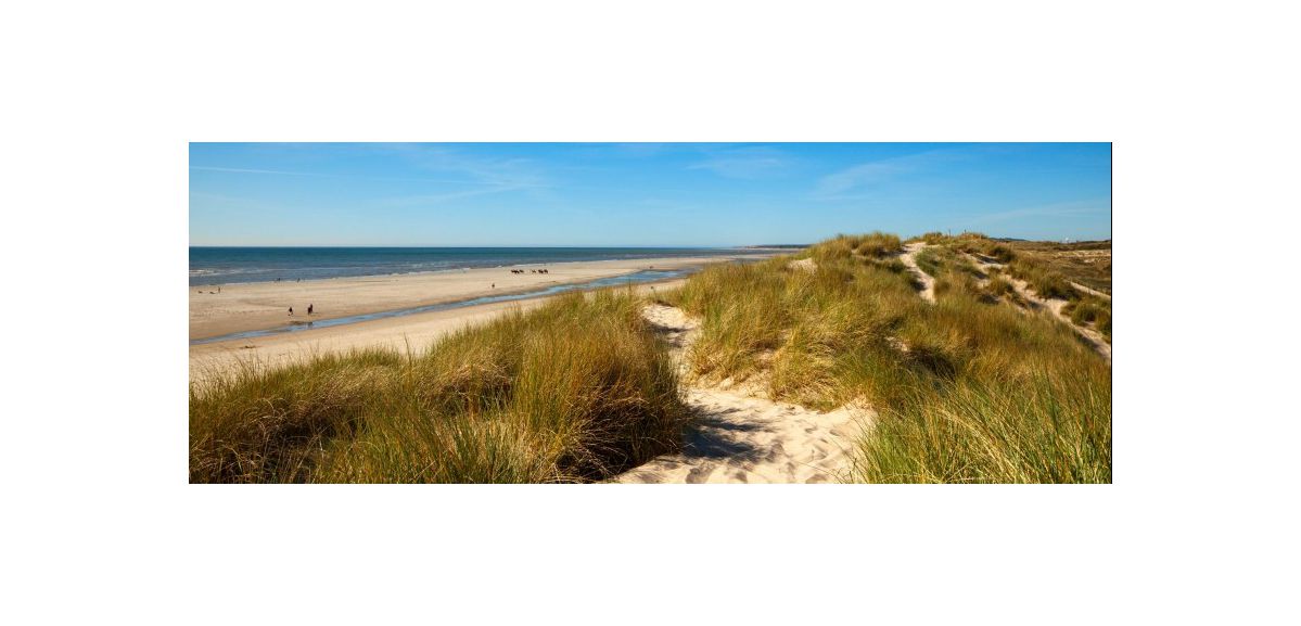 Quelles plages obtiennent le label Pavillon Bleu 2020 dans le Nord et le Pas-de-Calais ?