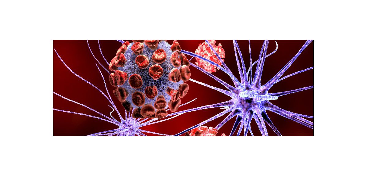 Selon une étude, le coronavirus est capable d’envahir le cerveau