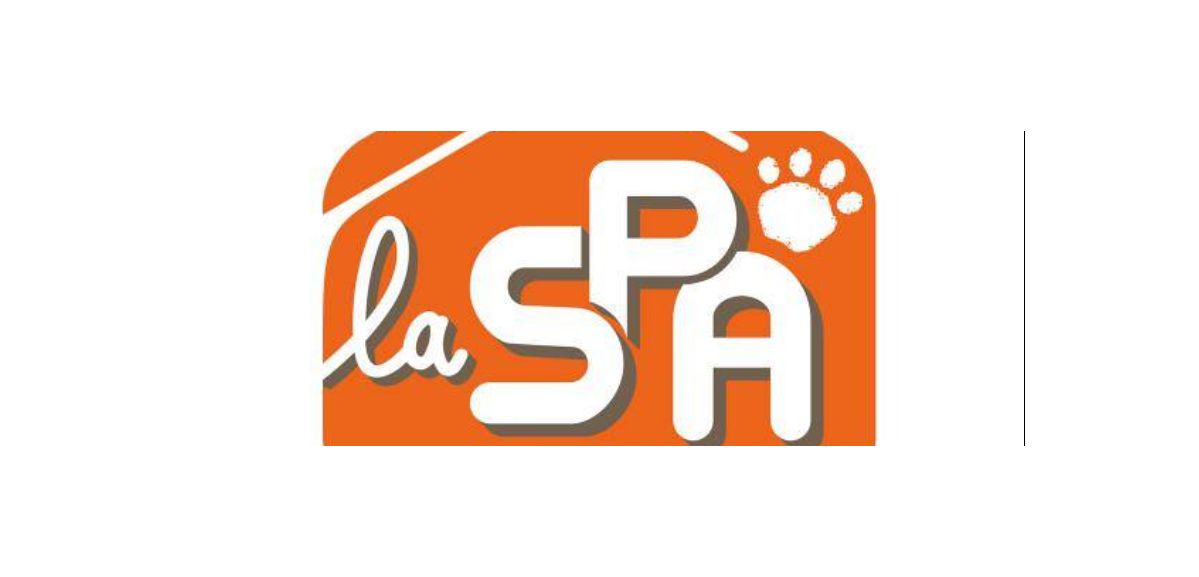 40 chiens retrouvés enchainés et enfermés dans une habitation près de Saint-Omer