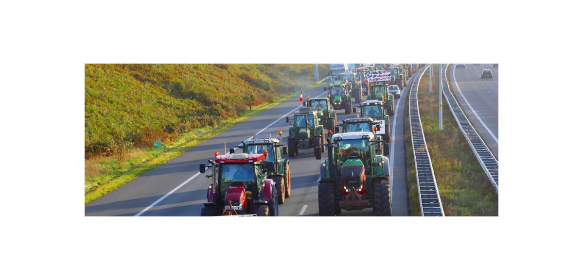 Cortèges de tracteurs et mobilisation des agriculteurs ce mardi en direction de Lille !