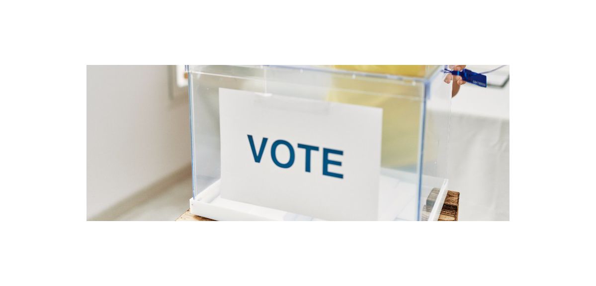 Elections législatives : vous avez jusqu’au mercredi 4 mai pour vous inscrire en ligne