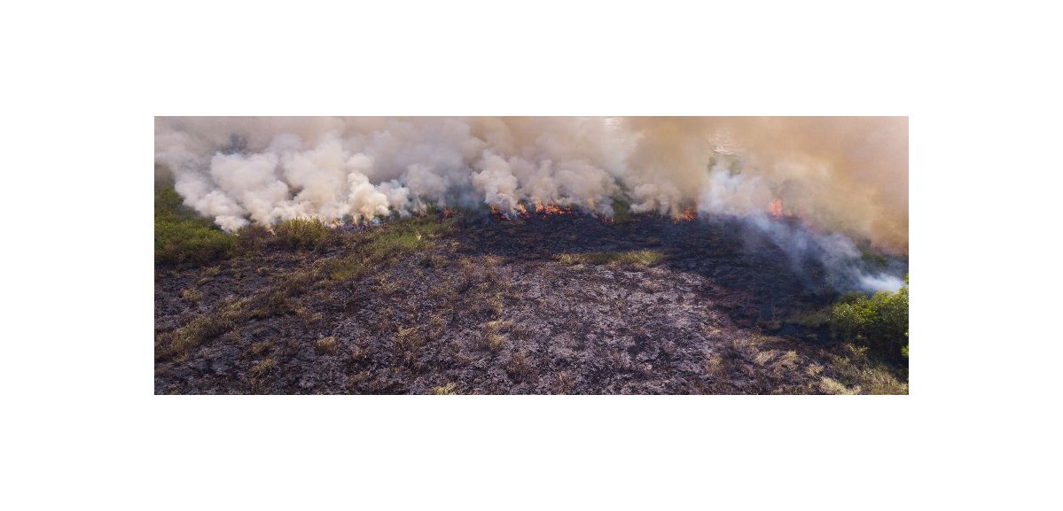 Vendin-le-Vieil : un important feu de végétation s’est déclaré dans la nuit
