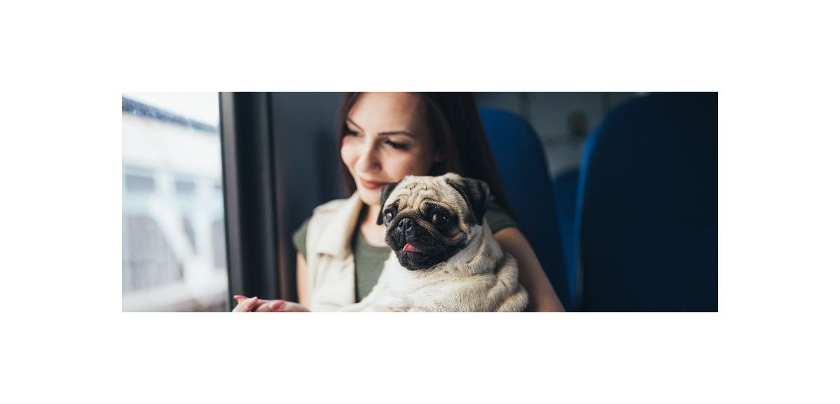 Tarif unique pour les animaux de compagnie dans les trains 