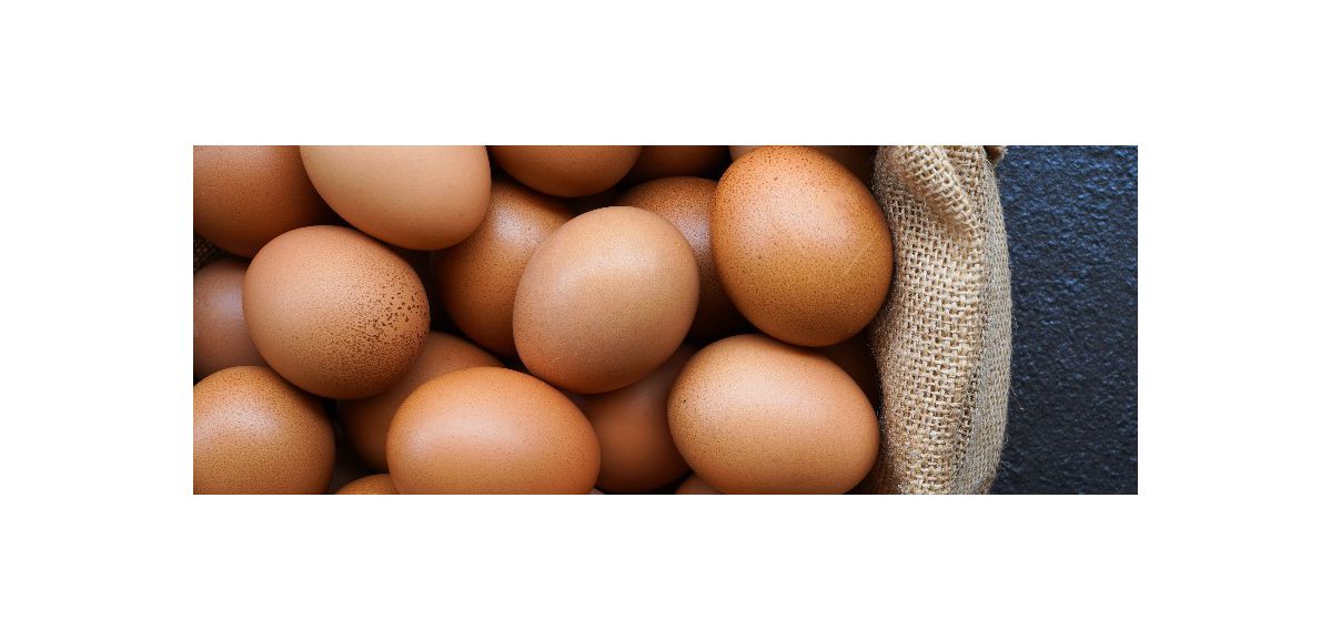 Leclerc, Cocci Market et des supérettes indépendantes rappellent des œufs pour risque de salmonelles 