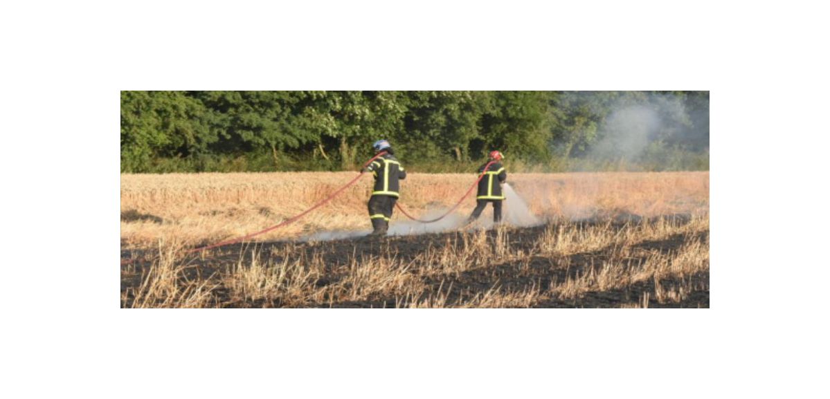 Maroeuil : 12 hectares d’un champ de blé partent en fumée 