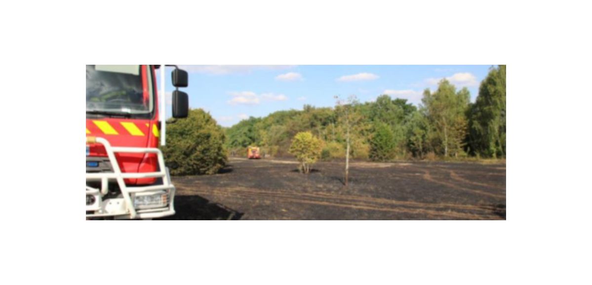 Loos-en-Gohelle : quatre hectares partis en fumée sur un terril