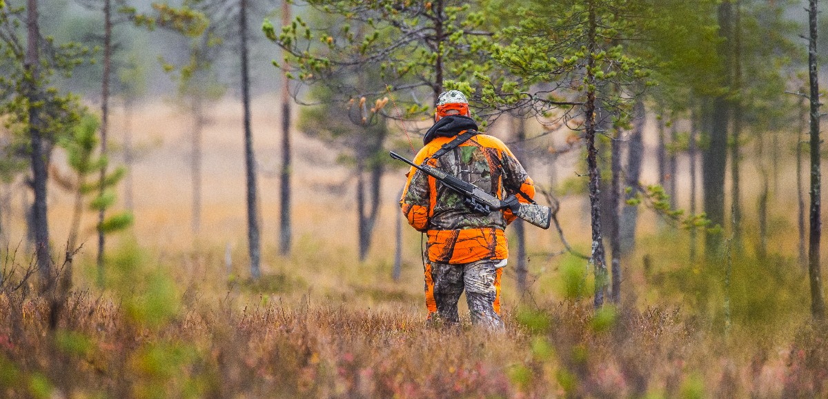 Des sénateurs écologistes demandent une interdiction de chasse 3 après-midis par semaine