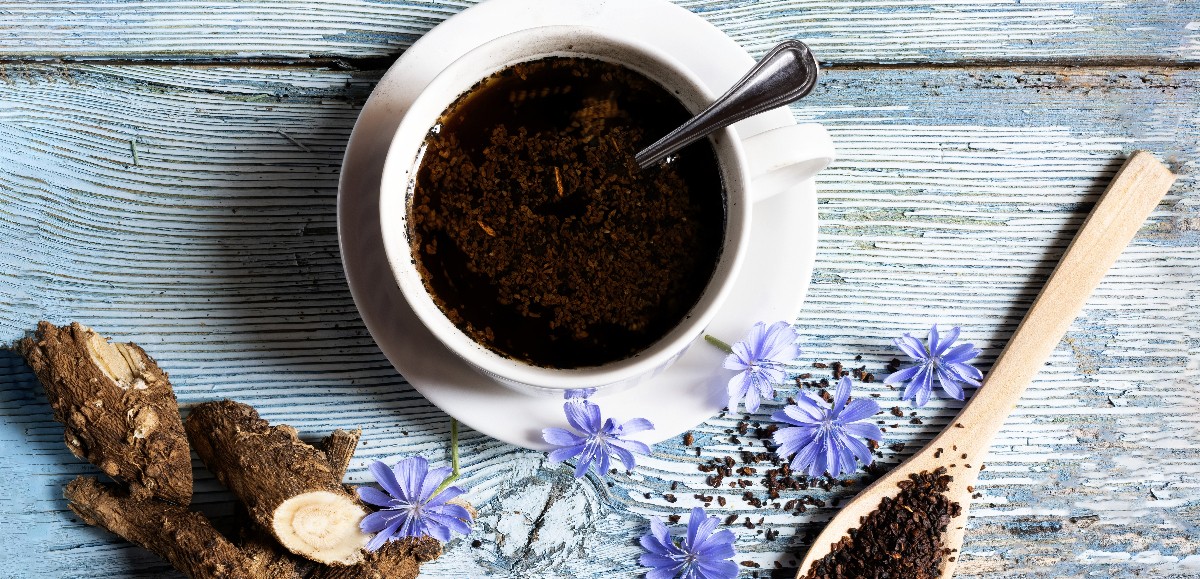 Quelles sont les différences entre le café et la chicorée ?
