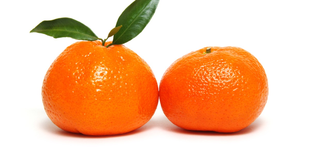 Connaissez-vous la différence entre la clémentine et la mandarine ?