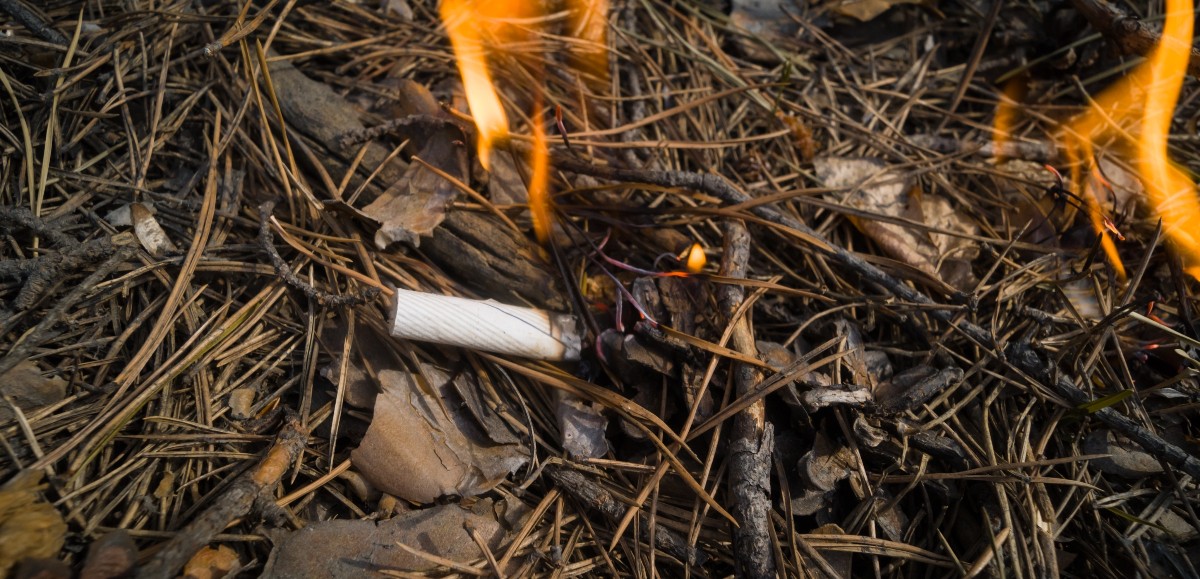 Incendie : l'Assemblée nationale vote l’interdiction de fumer dans les bois et forêts