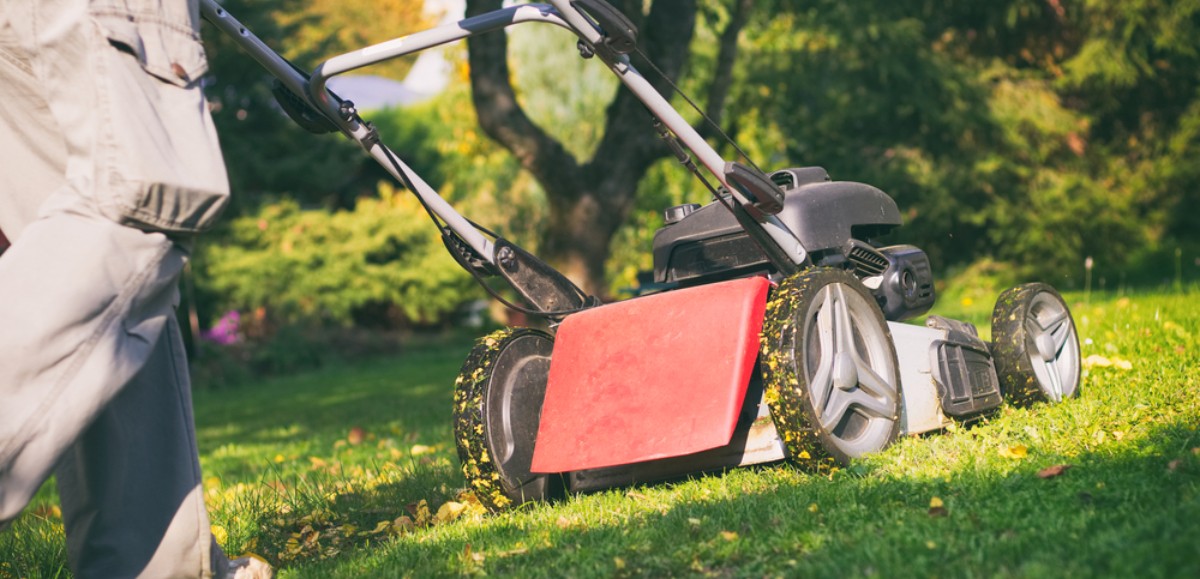 Tonte de pelouse : connaissez-vous le mulching ?
