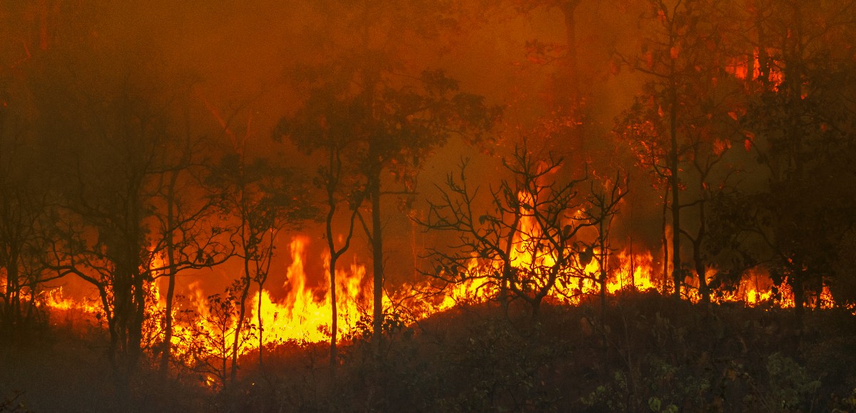 Les Bouches-du-Rhône en alerte rouge feux de forêts, une première