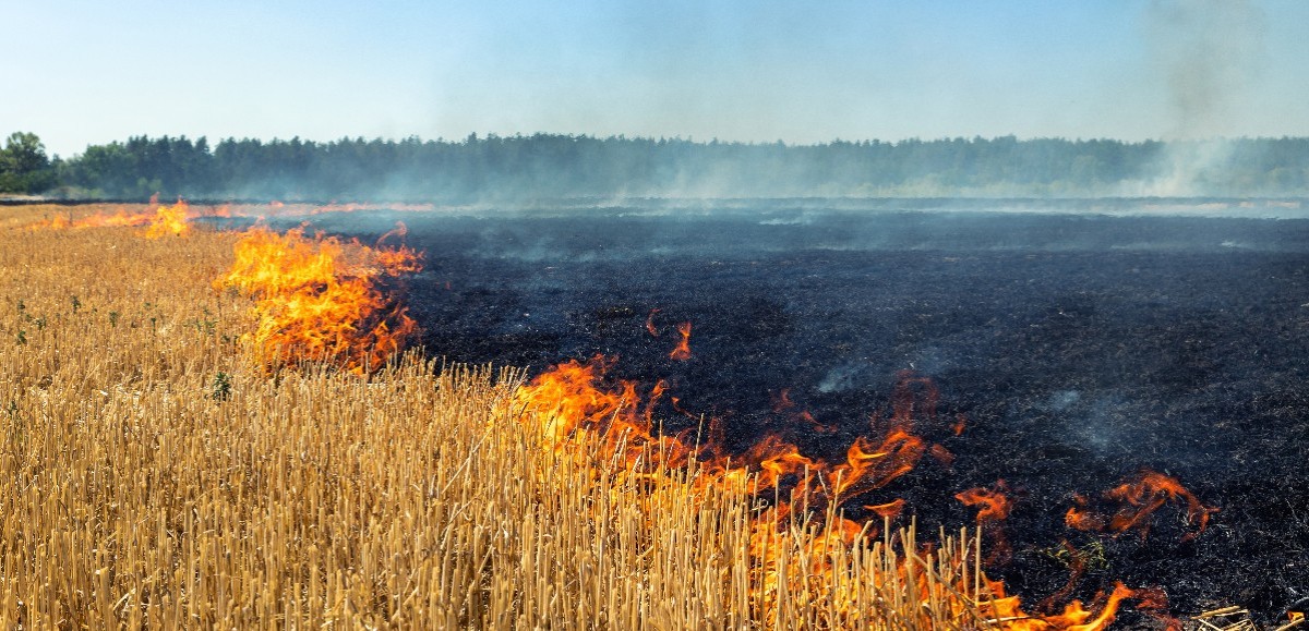 Un incendie ravage deux hectares de champs à la Couture
