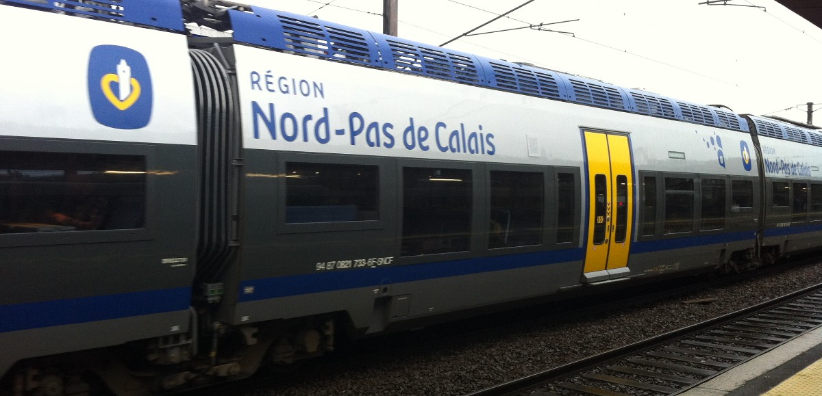 Punaises de lit : la Région Hauts-de-France interpelle la SNCF