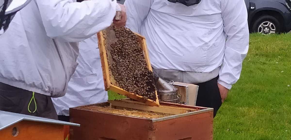 Après Houdain et Grenay, des ruches installées à Ruitz 