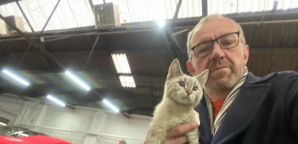 Un journaliste d’Horizon sauve un chaton piégé dans le moteur de sa voiture  