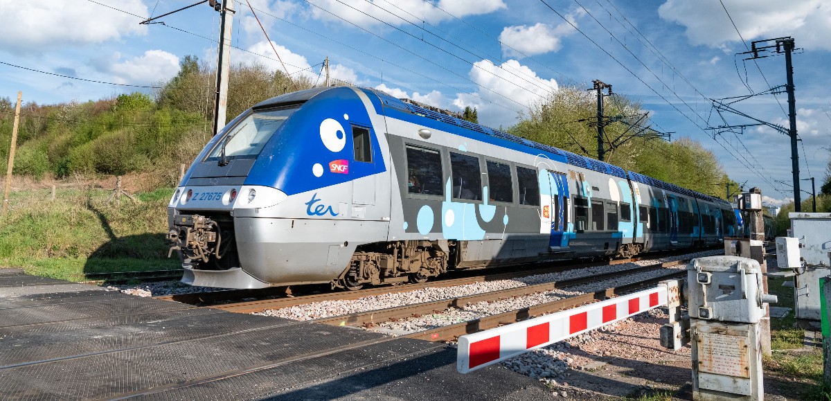 Hauts-de-France : pas de TER en circulation ce jeudi à cause de la tempête Ciaran 