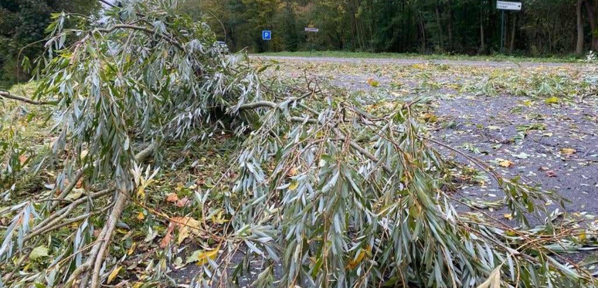 Chutes d’arbres, accidents, coupures d’électricité : le point sur les dégâts causés par la tempête Ciaran dans le Pas-de-Calais