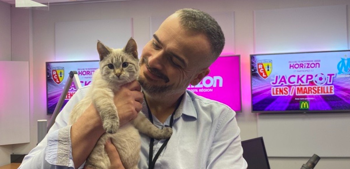 On vous donne des nouvelles du chaton sauvé par un journaliste d’Horizon 