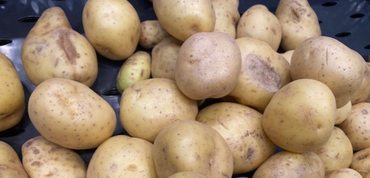 Hausse de 23% du prix de la pomme de terre : « on se fout de nous » 