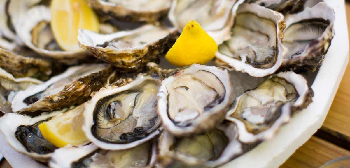 Les huîtres du bassin d’Arcachon interdites à la vente après des intoxications