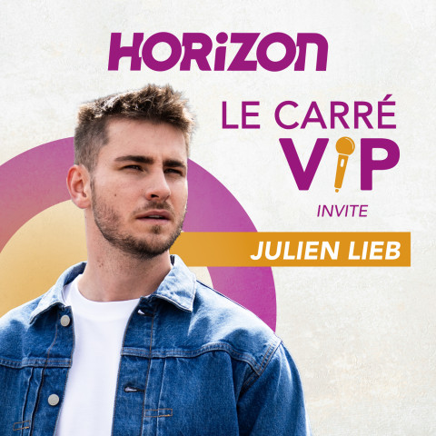 CARRÉ VIP DE JULIEN LIEB